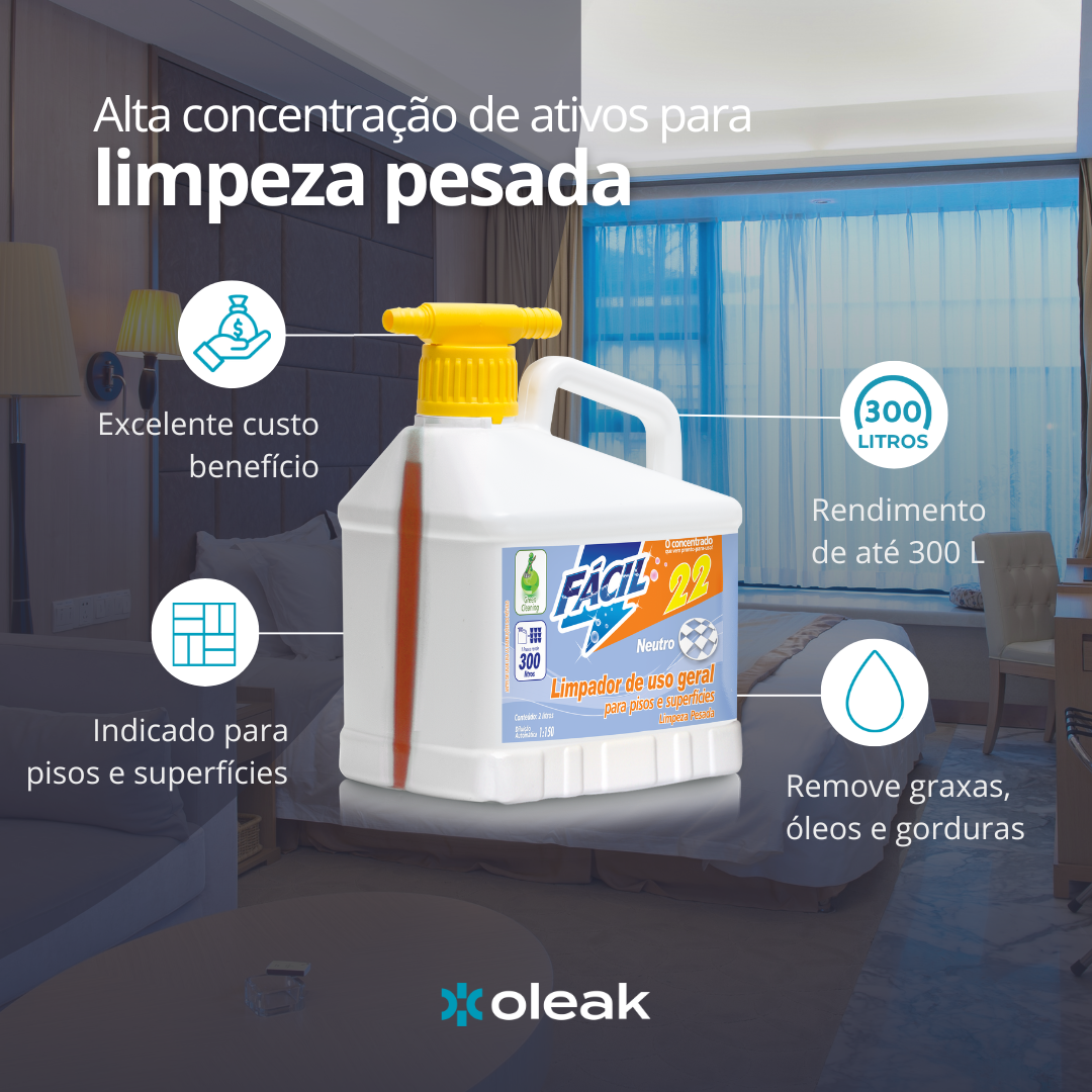 Fácil 22 Limpador Multiuso