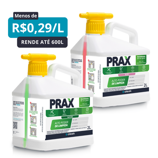 Prax Desinfetante SAD 3G 2L